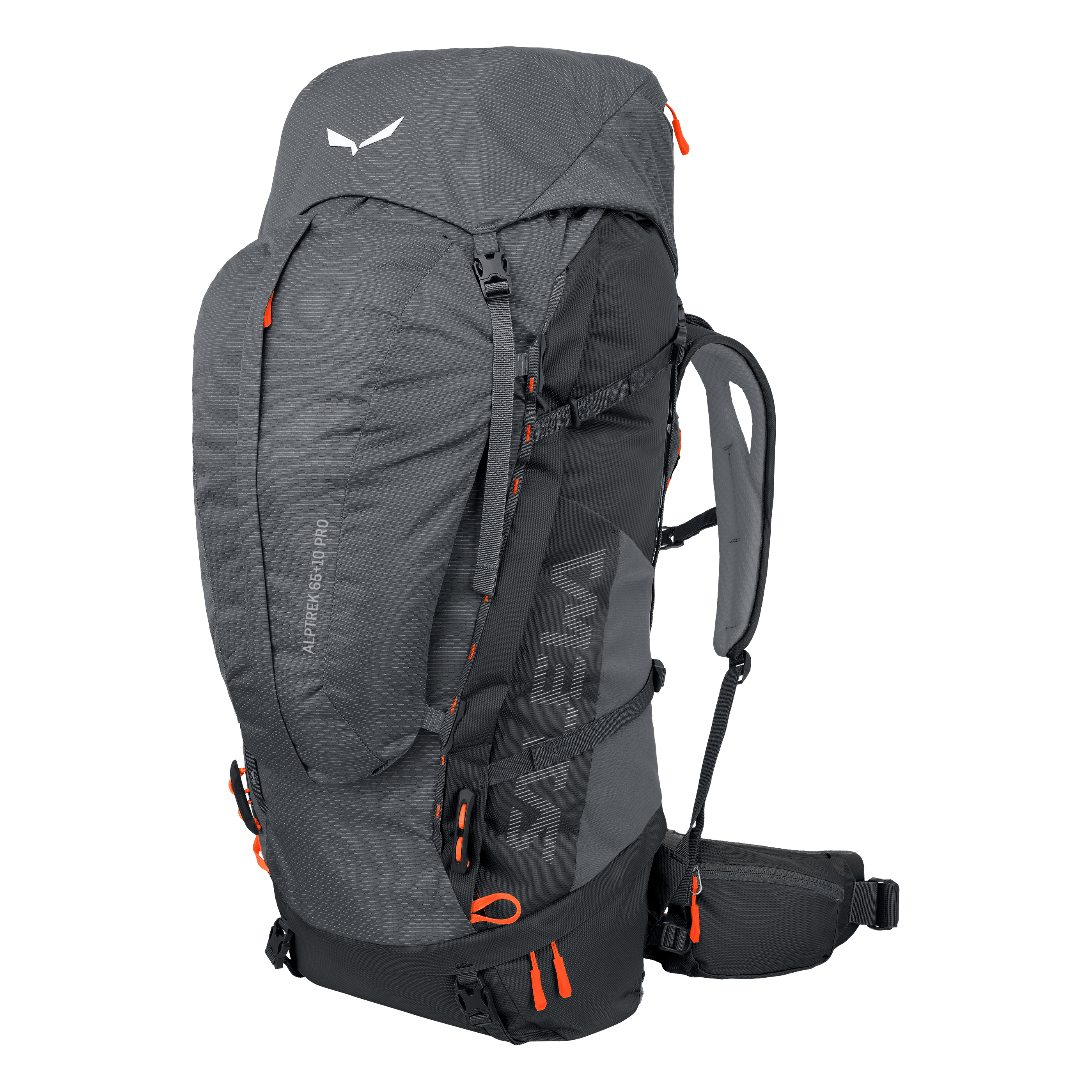 Alptrek 65+10 L Pro Rucksack