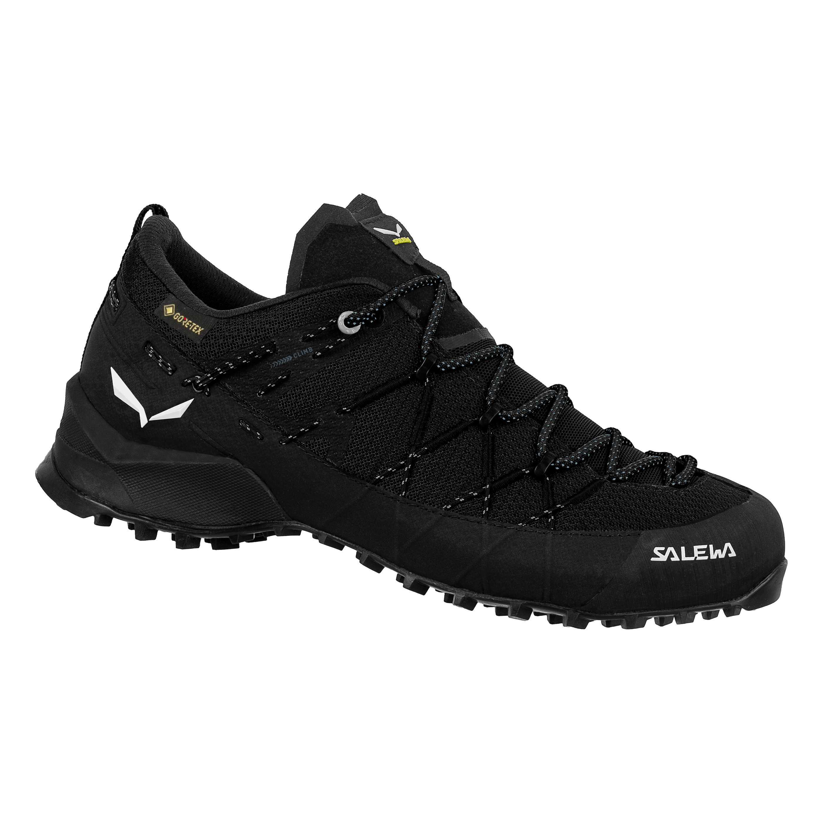 Wildfire 2 Gore-Tex® Schuh Damen