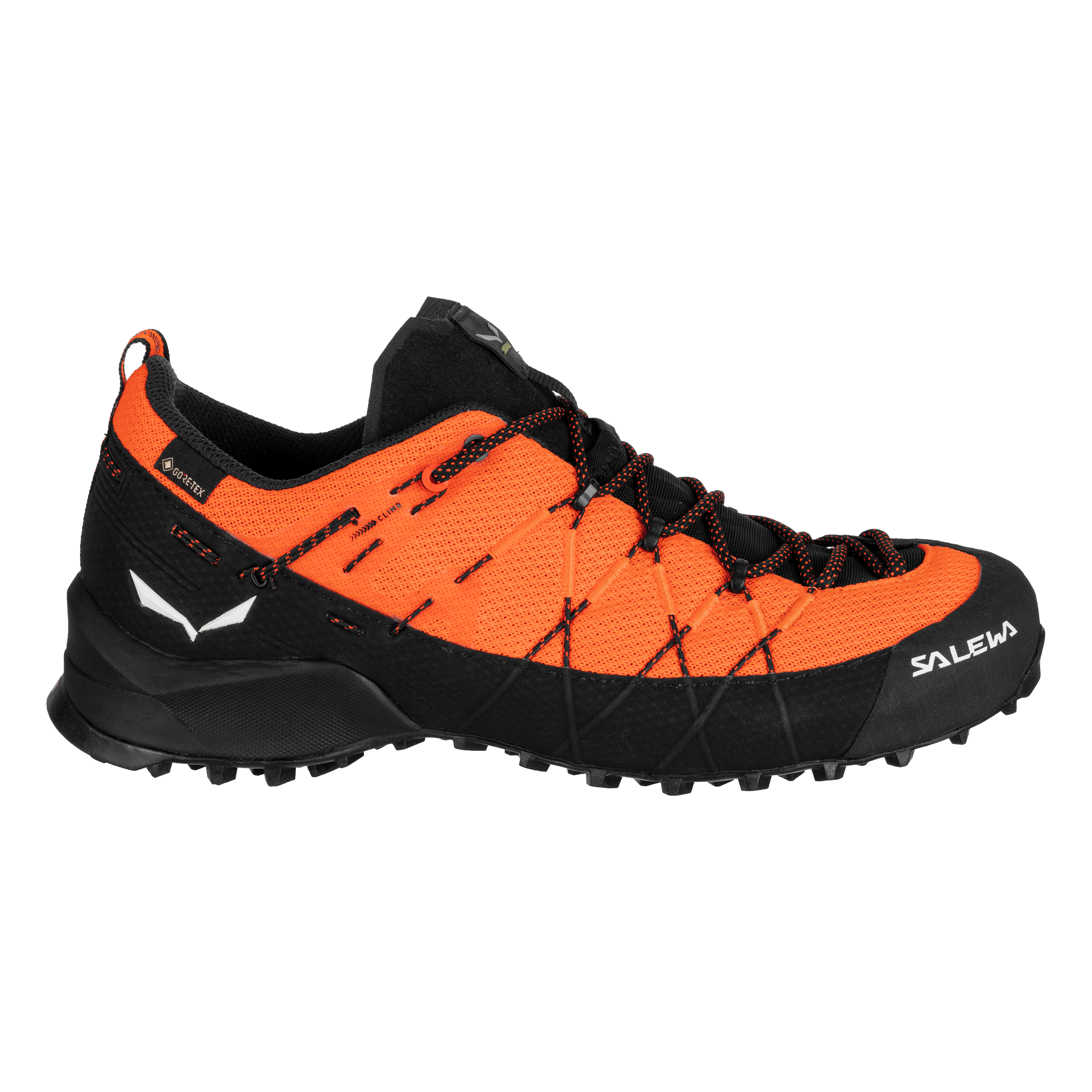 Wildfire 2 Gore-Tex® Schuh Herren