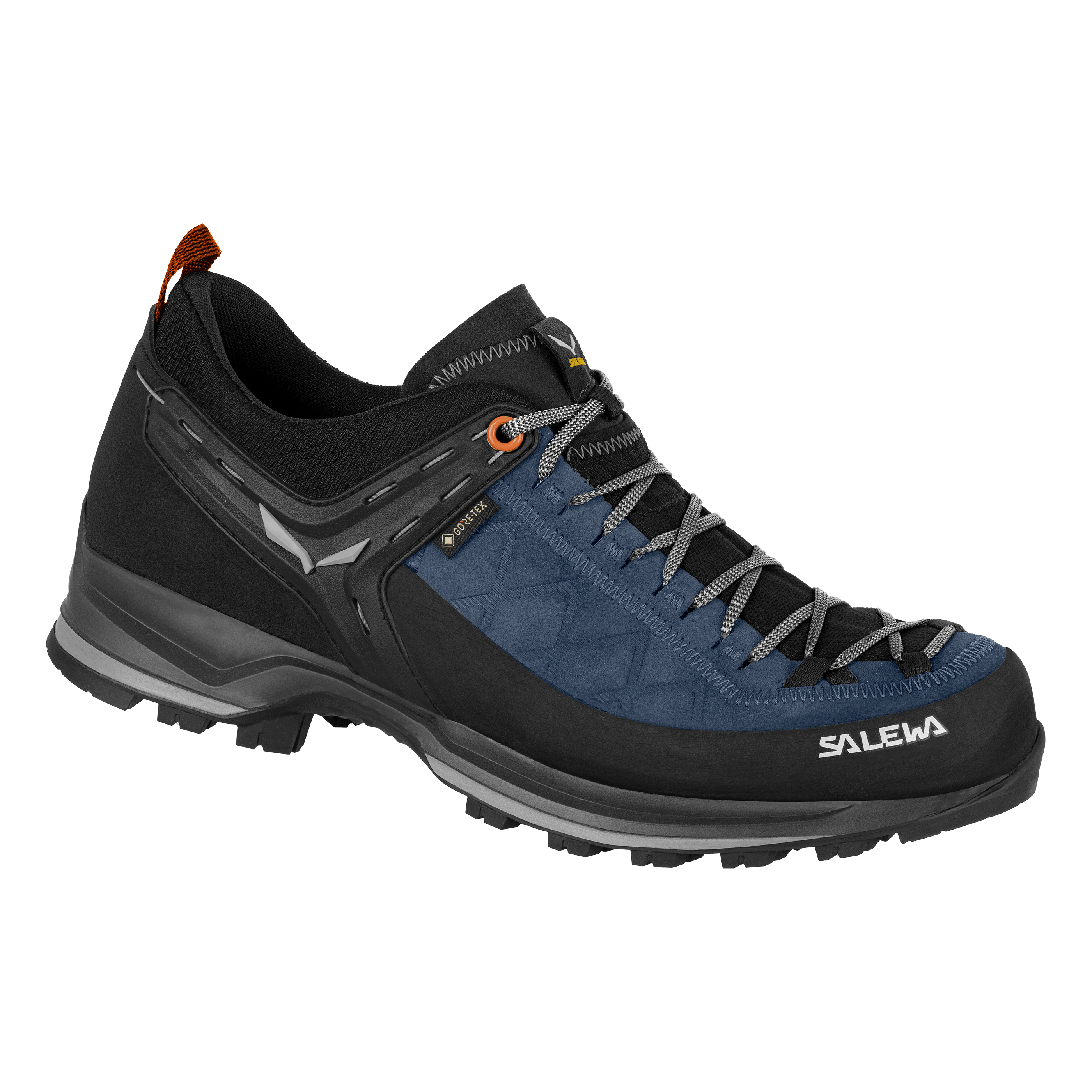Mountain Trainer 2 GORE-TEX® Herrenschuhe