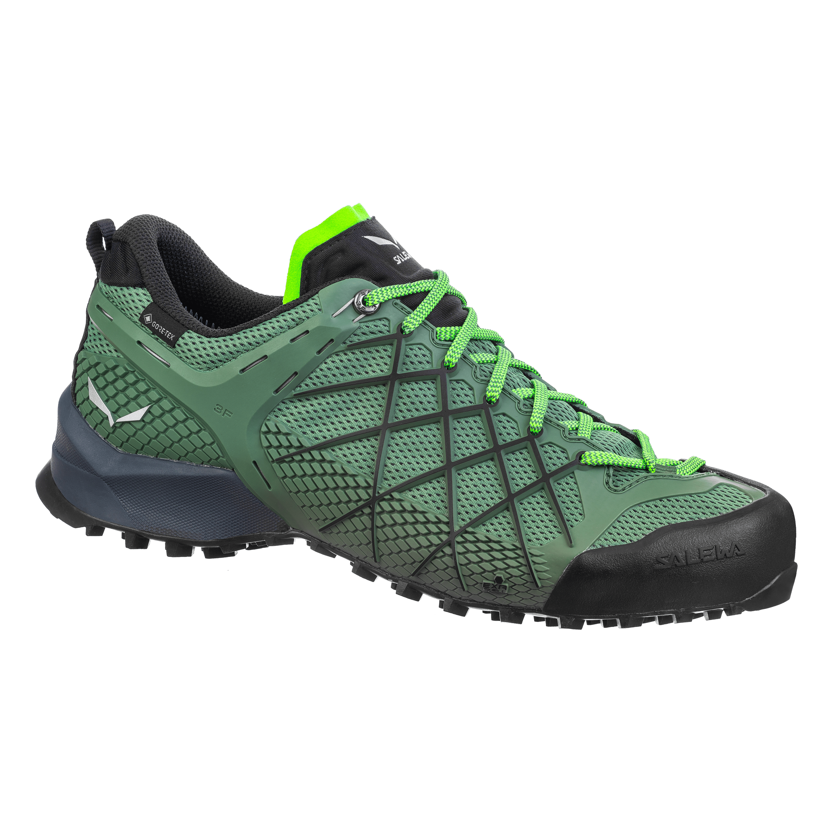 Wildfire GORE-TEX® Herrenschuhe