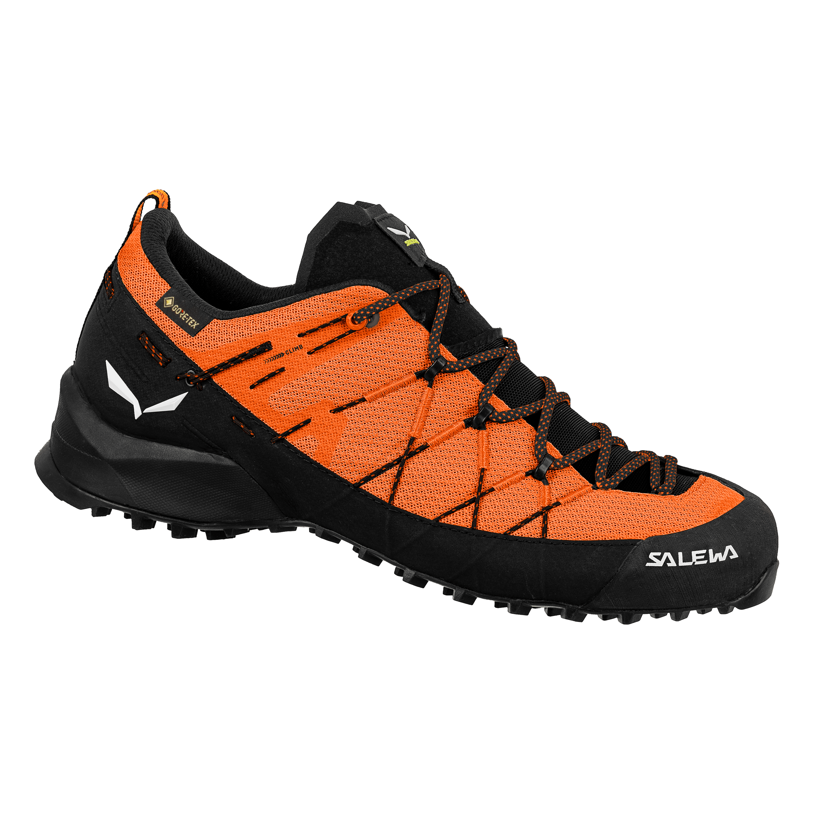Wildfire 2 Gore-Tex® Schuh Herren